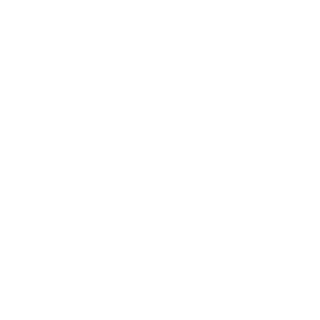 YungLenin1917's emblem