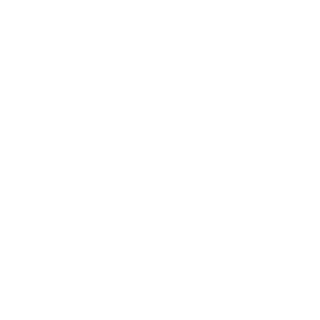 Nikerus32167's emblem