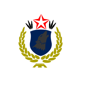 Reckless_163's emblem