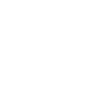 Shadow-Raven-309's emblem