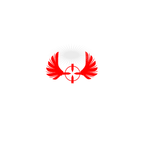 thepvtfalcon's emblem