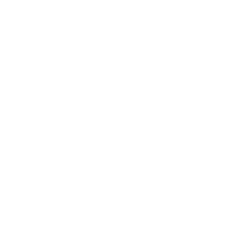 DownAxis93's emblem