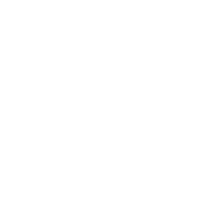 BallBrainerd's emblem