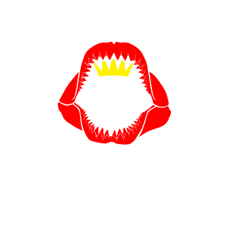 SkriLLeX51RUS's emblem