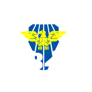 ReepinKiller2's emblem