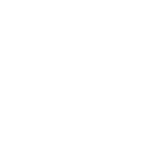 Shadytheme's emblem