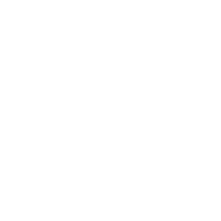 Drakkar_1983's emblem