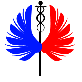 Romanian Ground Force's emblem