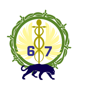 Ssapphiron_Ghost's emblem