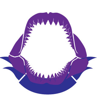 SirVanish's emblem