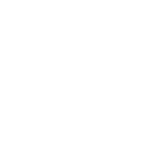 ballvball's emblem