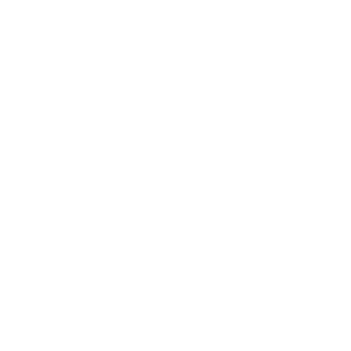 SoullEssNess's emblem