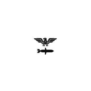 DL_Electronaut's emblem