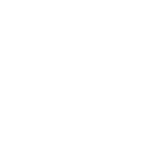 Hanys9002's emblem