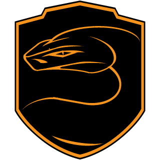 ViiPerZ eSport's emblem