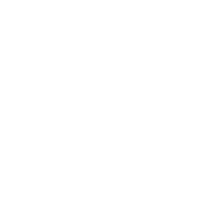 MAIDATA's emblem
