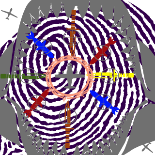 Flacosquizza's emblem