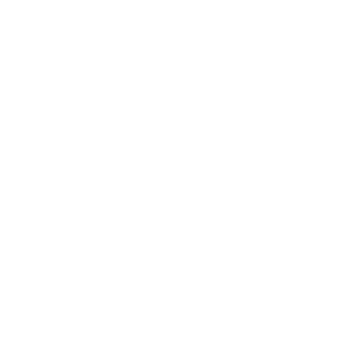 BadAIM-Allen's emblem