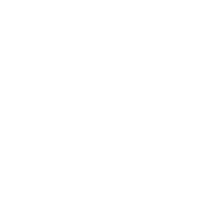 030OAO's emblem