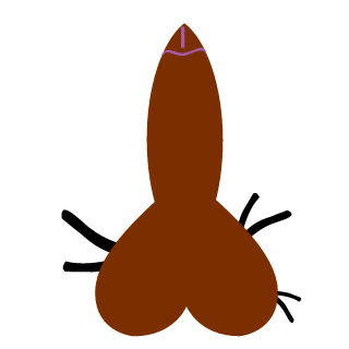 itsCeexBee's emblem