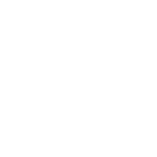 W1ldKnight's emblem