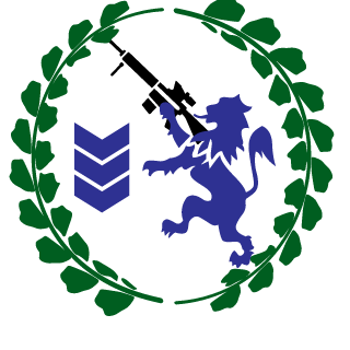 surfer463's emblem