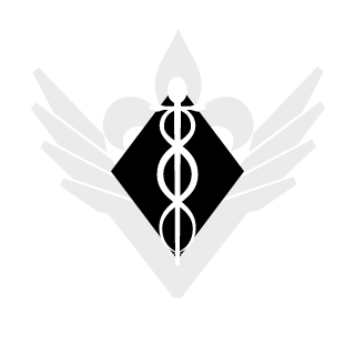 SyW-666's emblem