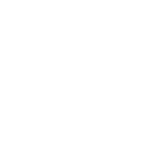 Veynos_911's emblem