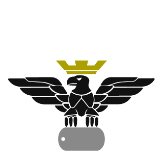 BiG_RaMyZ's emblem