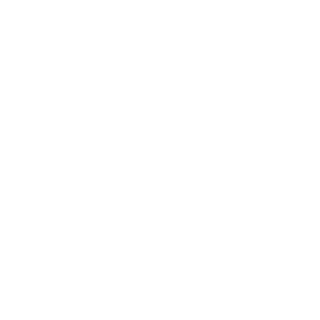 HipsterTurtles's emblem