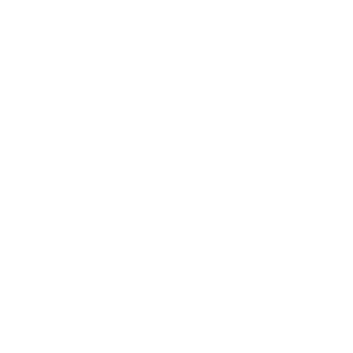 valiantBlunder's emblem