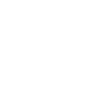 RDL_DFCN's emblem