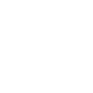 5solidsnake's emblem