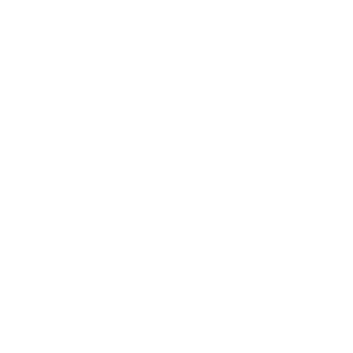 vaulin_danil33's emblem