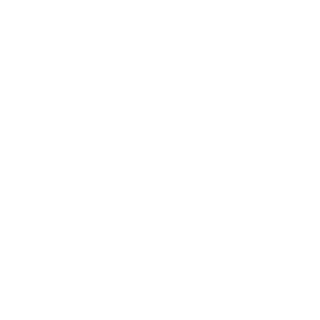 TheSoulDestroyer's emblem