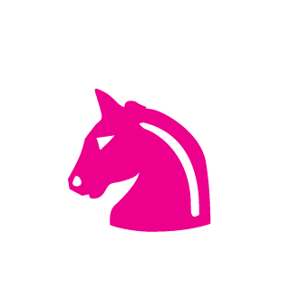 Bummerlol's emblem