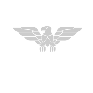 DevilsNeverFear's emblem