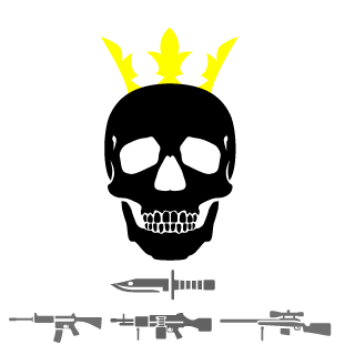 456ZhZ's emblem