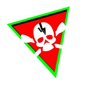 Skull Cracker Squad's emblem