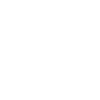 FoggyMoonHSJ's emblem