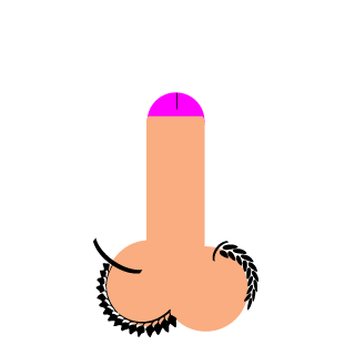 Tungin_Mai_Taint's emblem