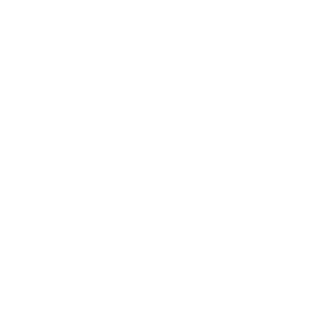 Saranomy's emblem