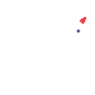 Nebulozys's emblem