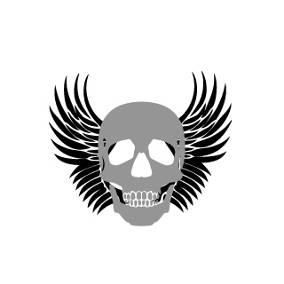 rcxplane's emblem