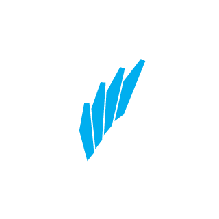 Skrapy_KoKo_1's emblem