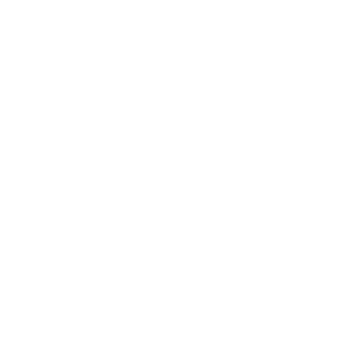 EvilRoninBR's emblem