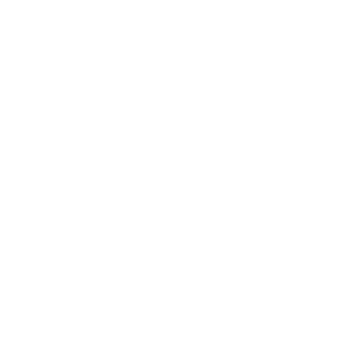 noblepro117's emblem
