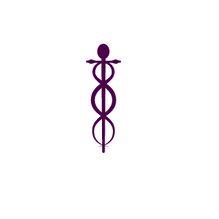 IVSB07's emblem