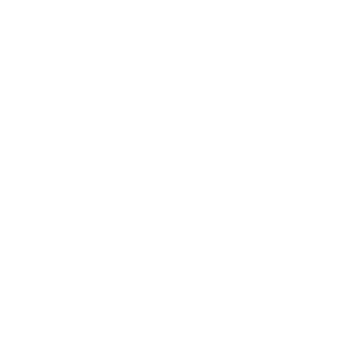 3_Danial's emblem