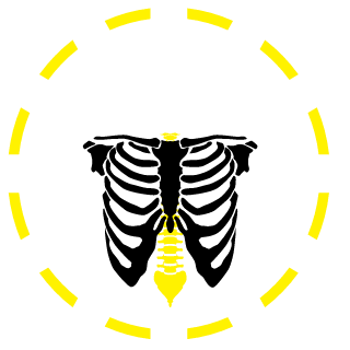Superbee1305's emblem